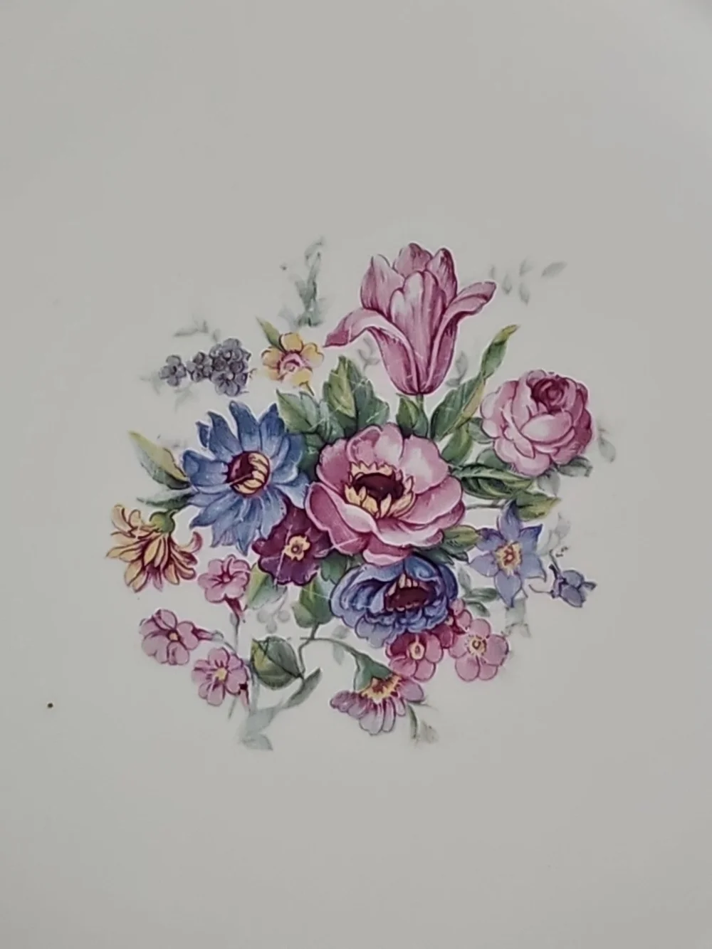 Vintage Royal EPIAG Czechoslovakia Classic Floral 10